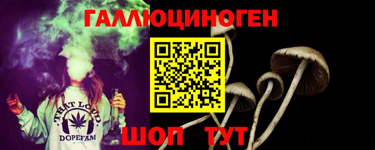 Псилоцибиновые грибы Psilocybine cubensis Когалым